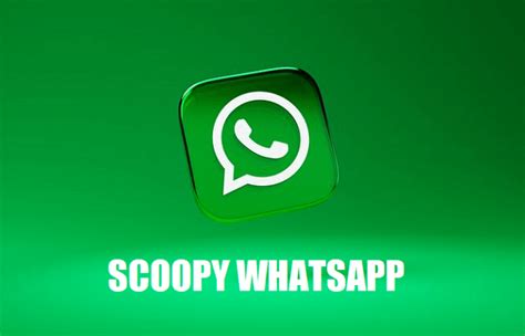 Scoopy Whatsapp